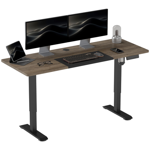 Height Adjustable Electric Standing with 4 Memory Preset Black Vinsetto